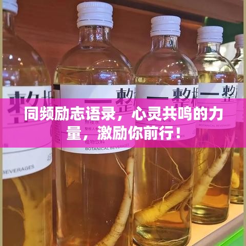 同频励志语录，心灵共鸣的力量，激励你前行！