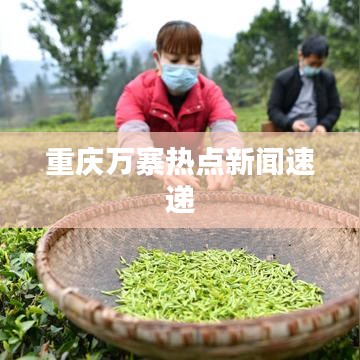 重庆万寨热点新闻速递