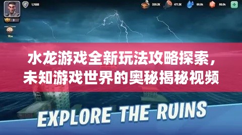 飞禽走兽