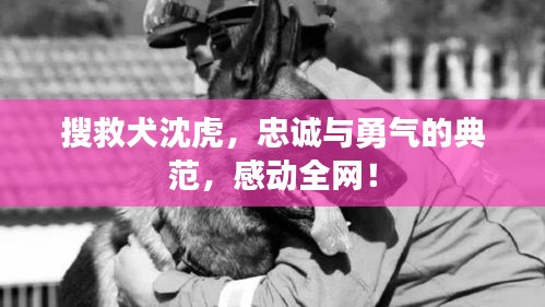 2025年5月3日