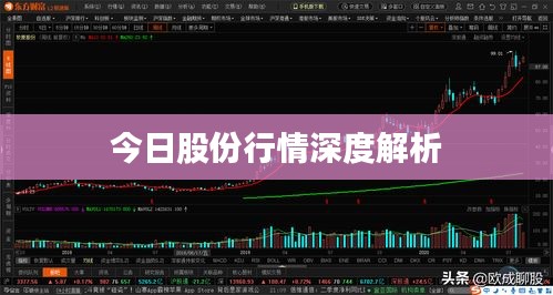 今日股份行情深度解析