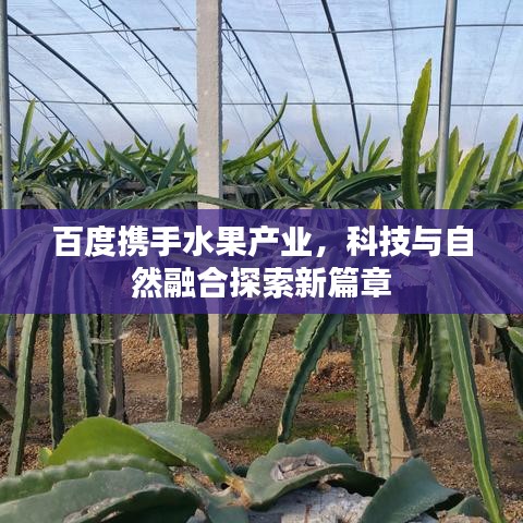 博古通今