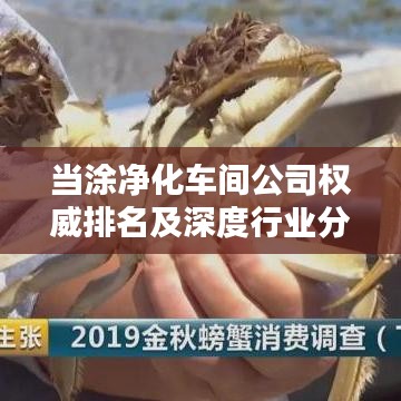 当涂净化车间公司权威排名及深度行业分析揭秘！
