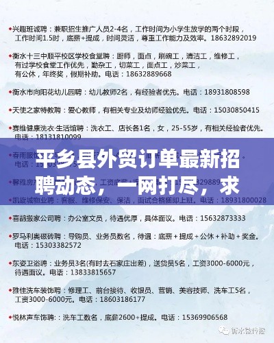 平乡县外贸订单最新招聘动态，一网打尽，求职招聘信息全掌握！