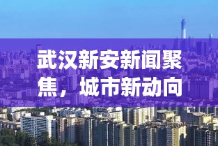 武汉新安新闻聚焦，城市新动向与发展亮点揭秘