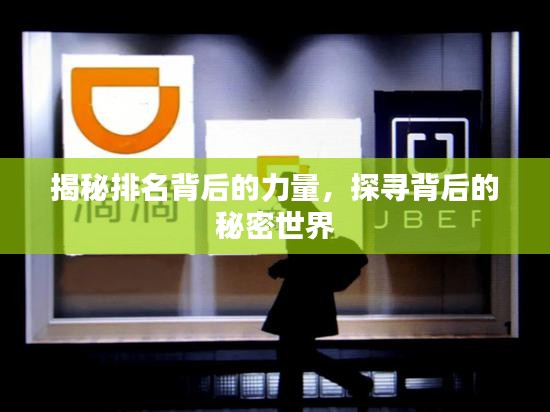 揭秘排名背后的力量，探寻背后的秘密世界