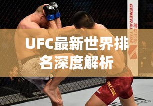 UFC最新世界排名深度解析