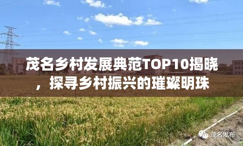 茂名乡村发展典范TOP10揭晓，探寻乡村振兴的璀璨明珠