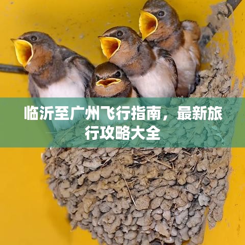 临沂至广州飞行指南，最新旅行攻略大全