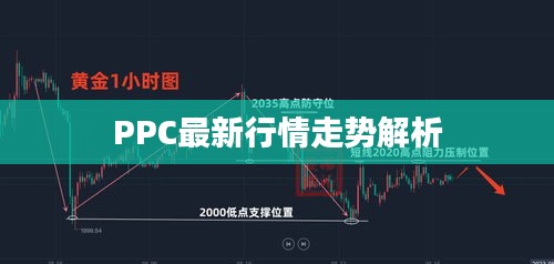 PPC最新行情走势解析