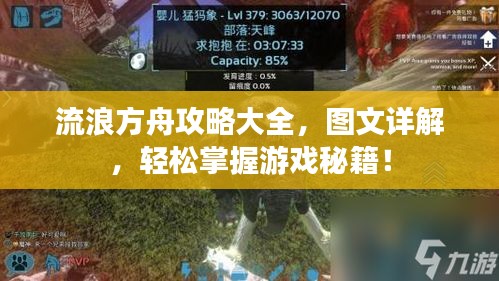 流浪方舟攻略大全，图文详解，轻松掌握游戏秘籍！