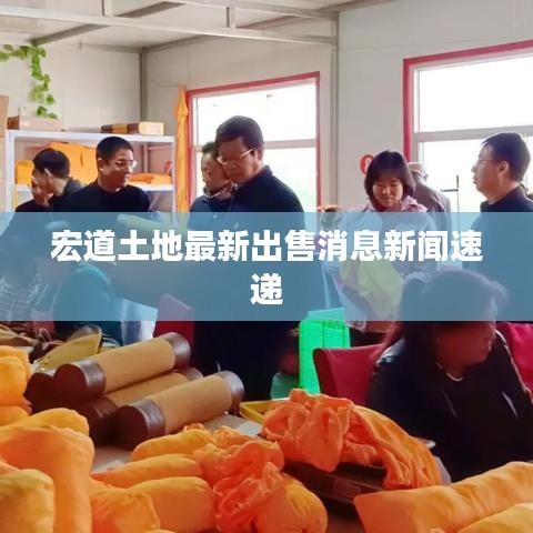 宏道土地最新出售消息新闻速递