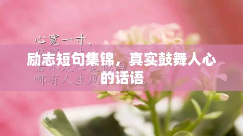励志短句集锦，真实鼓舞人心的话语