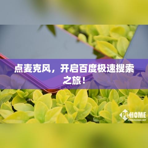 点麦克风，开启百度极速搜索之旅！