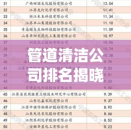 管道清洁公司排名揭晓，解读行业领军者的成功秘诀！