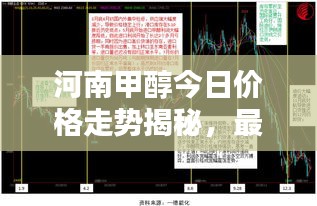 河南甲醇今日价格走势揭秘，最新动态及分析报告