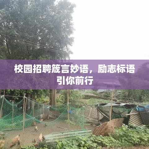 校园招聘箴言妙语，励志标语引你前行