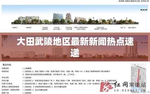 大田武陵地区最新新闻热点速递