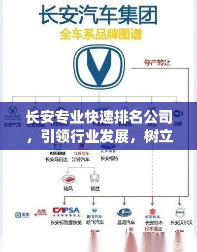 长安专业快速排名公司，引领行业发展，树立行业标杆