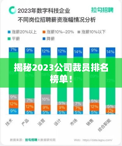 揭秘2023公司裁员排名榜单！