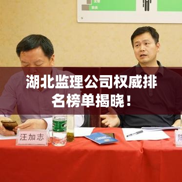 湖北监理公司权威排名榜单揭晓！