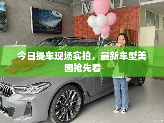 今日提车现场实拍，最新车型美图抢先看