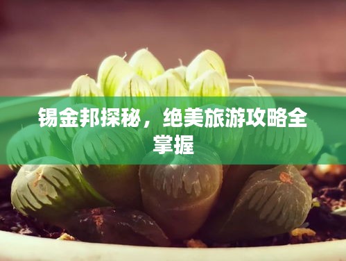 锡金邦探秘，绝美旅游攻略全掌握