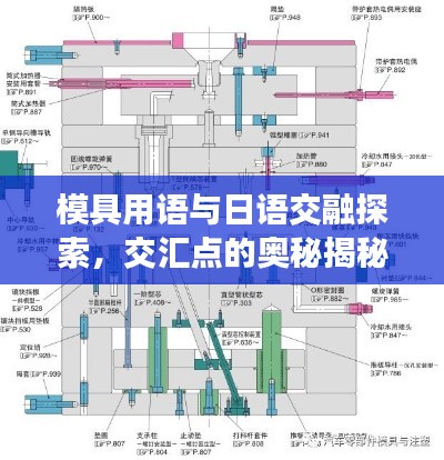 模具用语与日语交融探索，交汇点的奥秘揭秘