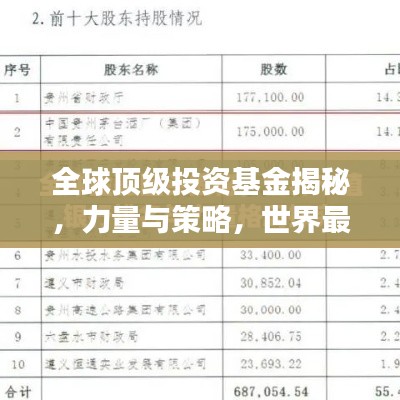 全球顶级投资基金揭秘，力量与策略，世界最大基金排名榜单揭晓！