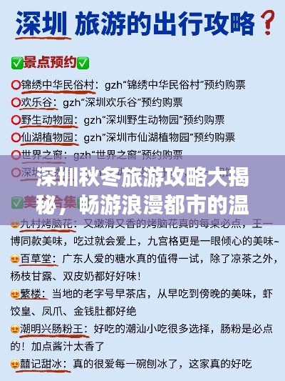 深圳秋冬旅游攻略大揭秘，畅游浪漫都市的温暖时光
