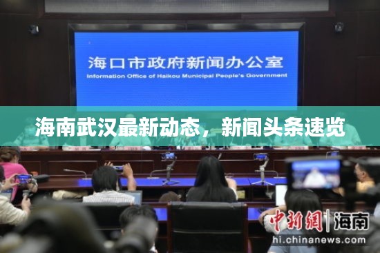 海南武汉最新动态，新闻头条速览