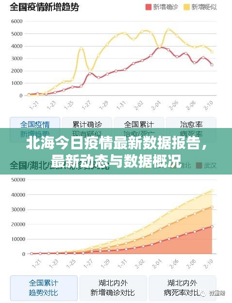 北海今日疫情最新数据报告，最新动态与数据概况