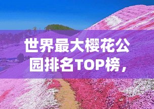 世界最大樱花公园排名TOP榜，绝美花海等你来探！