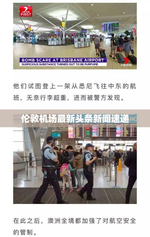 伦敦机场最新头条新闻速递