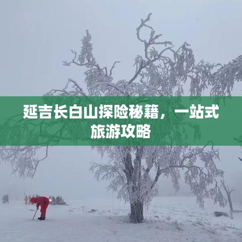 延吉长白山探险秘籍，一站式旅游攻略