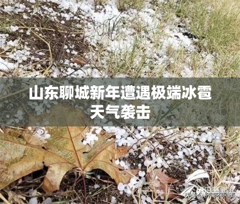 山东聊城新年遭遇极端冰雹天气袭击