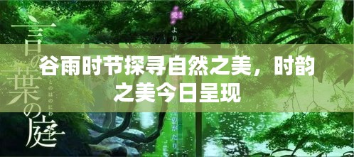 谷雨时节探寻自然之美，时韵之美今日呈现