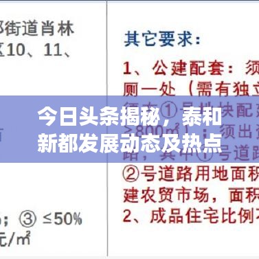 2025年6月11日 第2页
