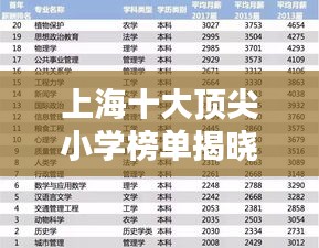 上海十大顶尖小学榜单揭晓，教育质量标杆引领未来