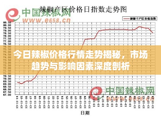 今日辣椒价格行情走势揭秘，市场趋势与影响因素深度剖析