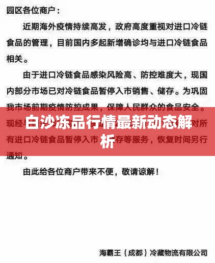 白沙冻品行情最新动态解析