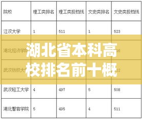 湖北省本科高校排名前十概览，名校风采悉数呈现