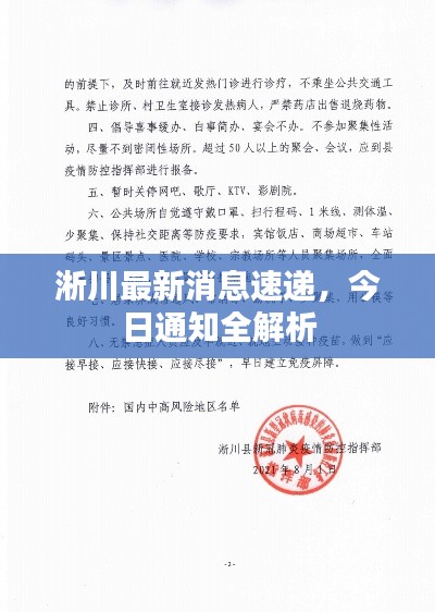 淅川最新消息速递，今日通知全解析