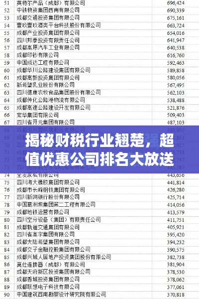 揭秘财税行业翘楚，超值优惠公司排名大放送！