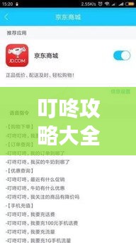 叮咚攻略大全集，一站式解决所有疑惑，最新秘籍全收录！