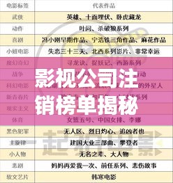 影视公司注销榜单揭秘，行业变迁与市场调整背后的故事