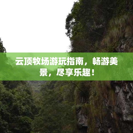 云顶牧场游玩指南，畅游美景，尽享乐趣！