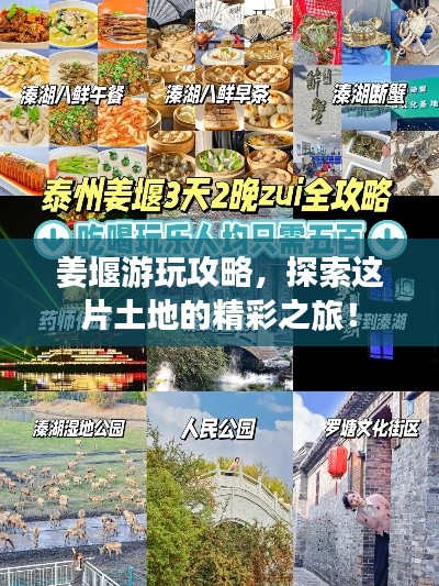 姜堰游玩攻略，探索这片土地的精彩之旅！