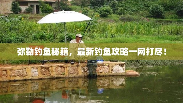 弥勒钓鱼秘籍，最新钓鱼攻略一网打尽！