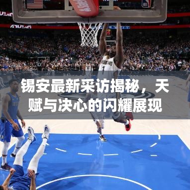 锡安最新采访揭秘，天赋与决心的闪耀展现
